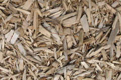 biomass boilers Meadowend